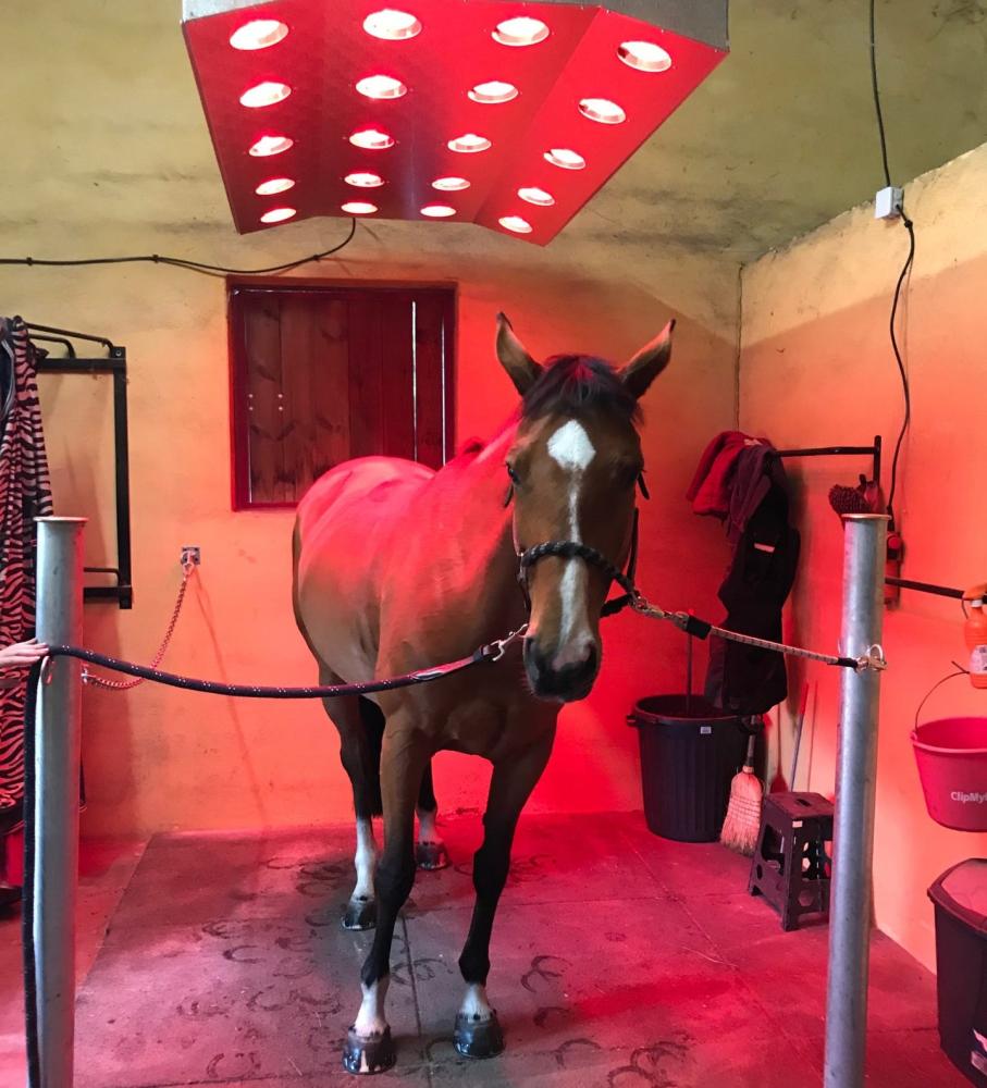 solarium