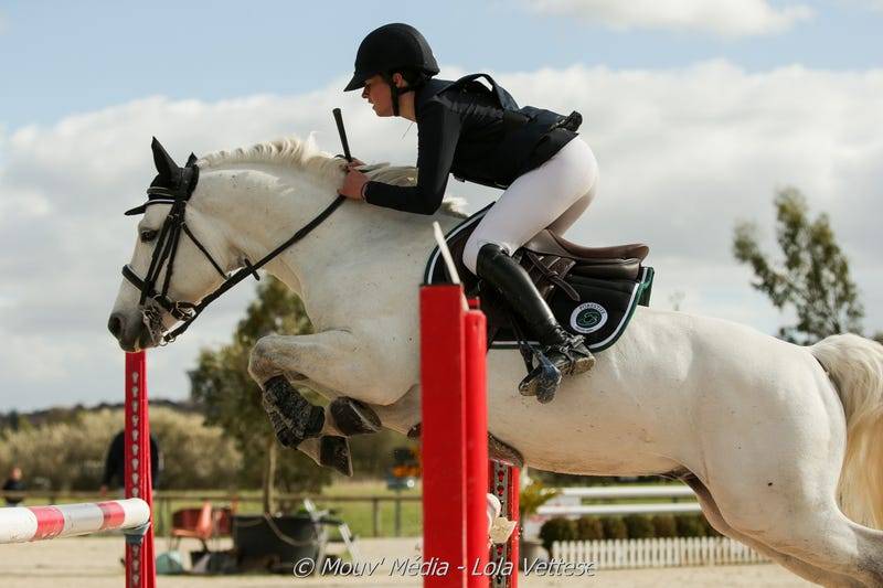 compétitions de cheval