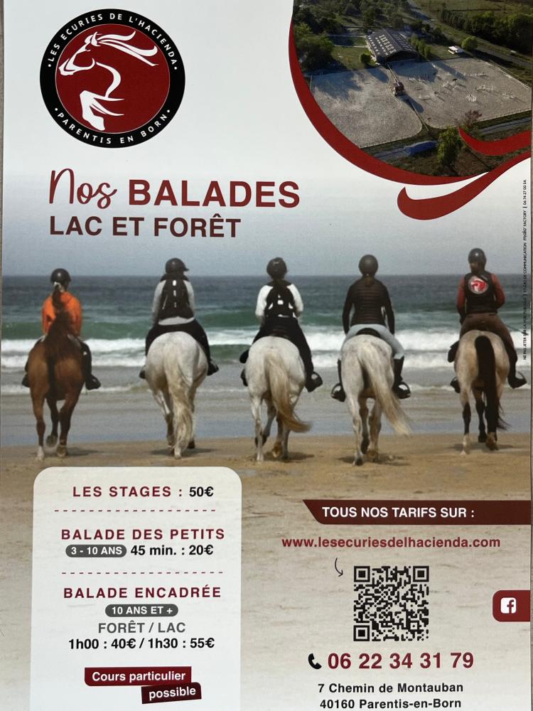 Affiche tarifs balades 2026